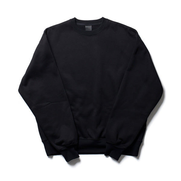 TECH SWEAT CREW (BE-56021W) | DAIWA PIER39 / カットソー (MEN