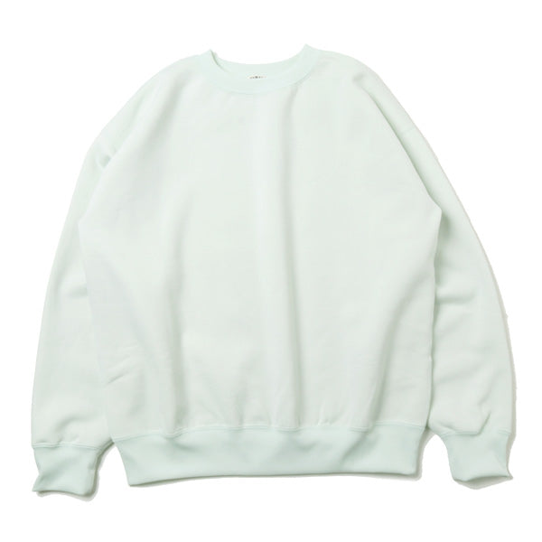 BAGGY POLYESTER SWEAT P/O (A9AP03PU) | AURALEE / カットソー (MEN ...
