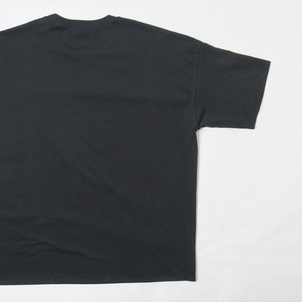 HIGH GAUGE DOUBLE CLOTH TEE (A00T01DC) | AURALEE / カットソー (MEN 