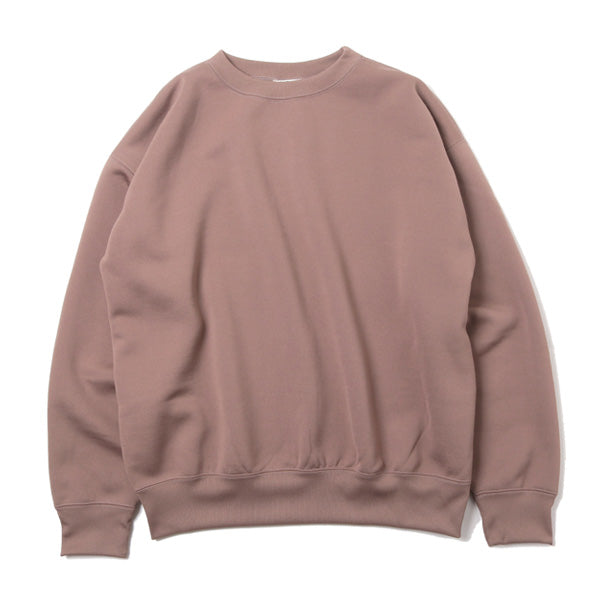 BAGGY POLYESTER SWEAT P/O (A9AP03PU) | AURALEE / カットソー (MEN 