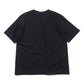 LUSTER PLATING BOAT NECK TEE