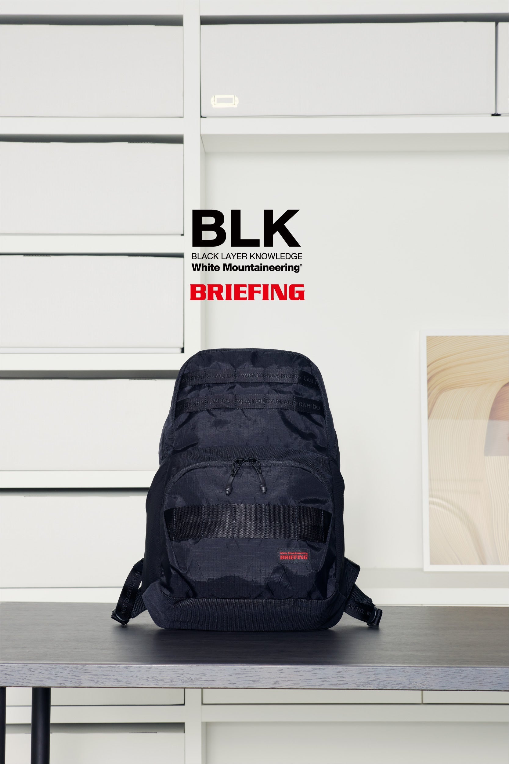 WM x BRIEFING X-PAC BACK PACK (BK2373801) | White Mountaineering ...