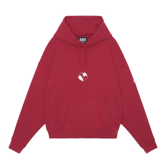 ZIG MODEL HOODY