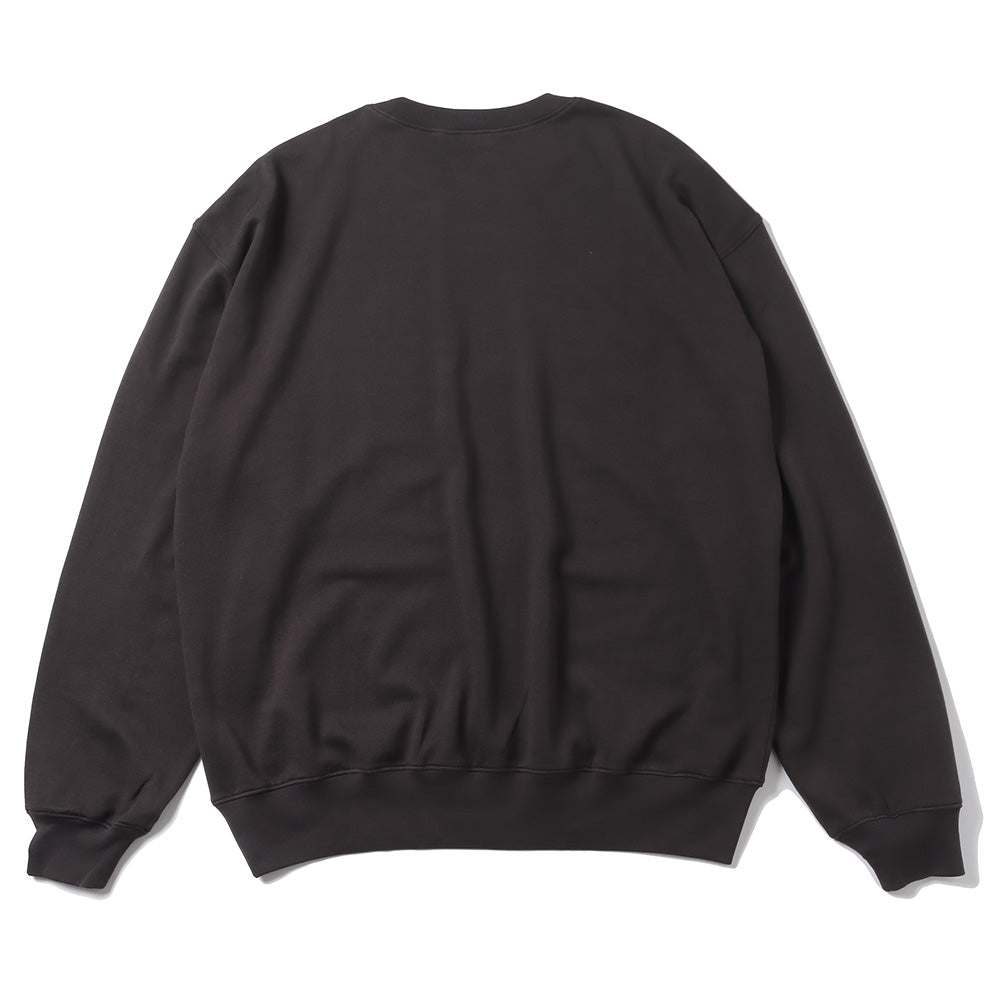 SUPER HIGH GAUGE SWEAT P/O (A23AP02CU) | AURALEE / カットソー (MEN 