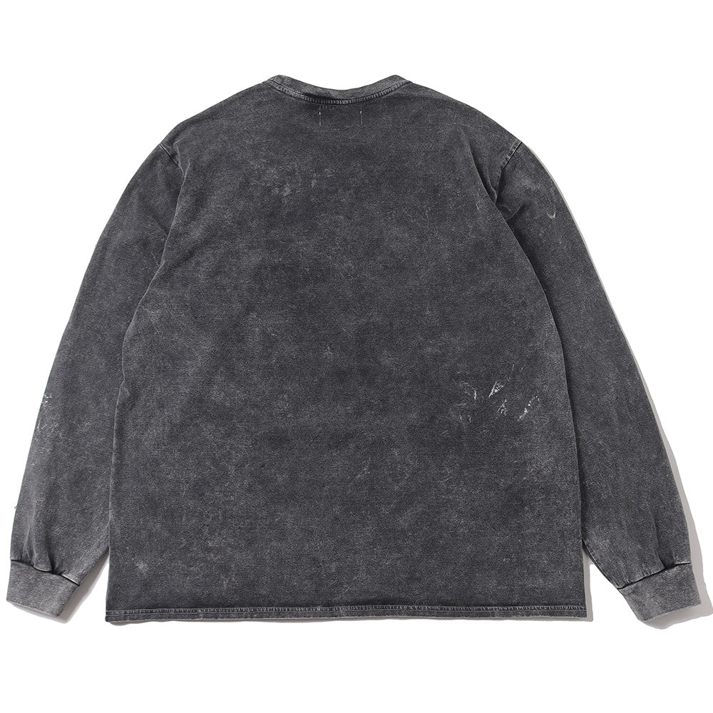 CREW NECK L/S TEE ORGANIC COTTON