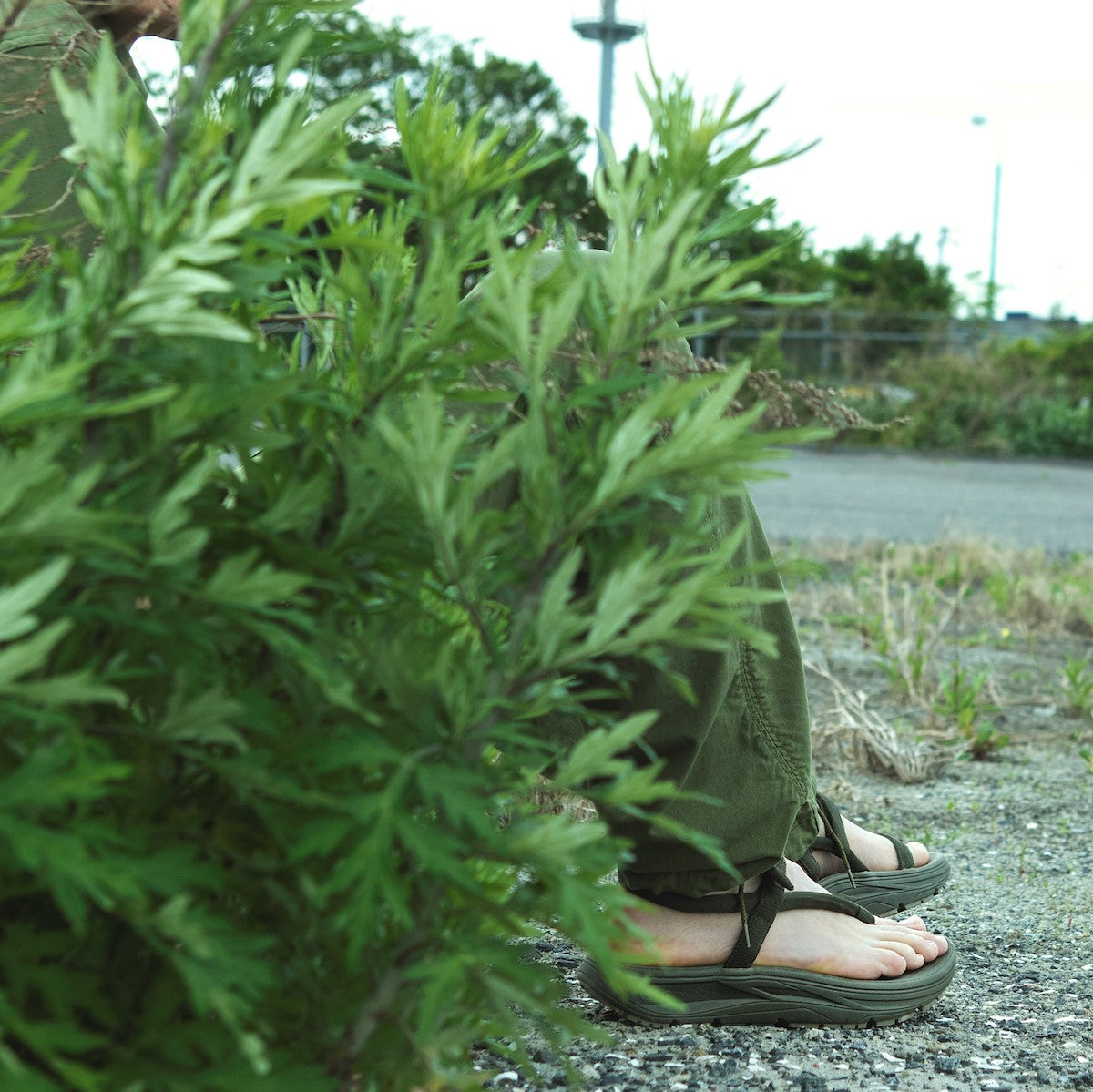 nonnative (ノンネイティブ) rig × nonnative KAMBA NN-F4255 (NN