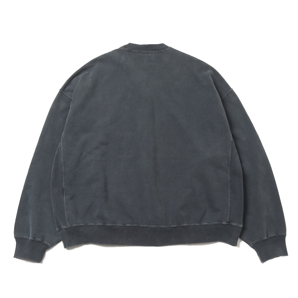 SP processed fleece crew (LESS IS MORE C)