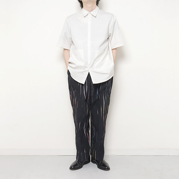 S/S Shirt2 broadcloth (DWVA054) | DIGAWEL / シャツ (MEN) | DIGAWEL