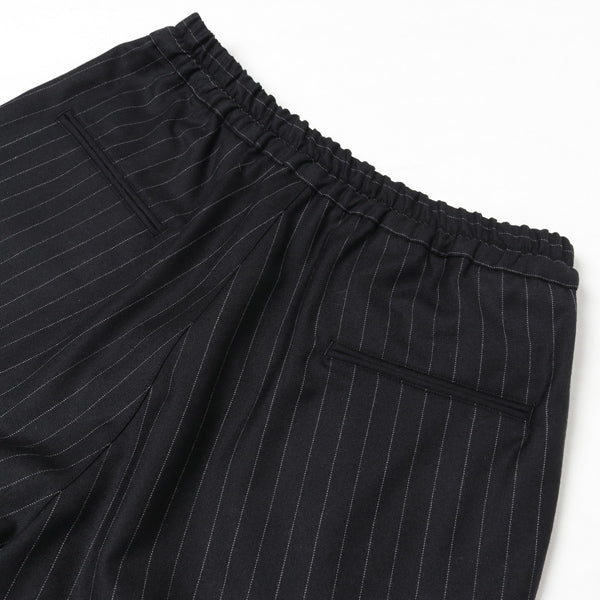 Standard Easy Pants (ALSTN-PT02) | Allege / パンツ (MEN) | Allege