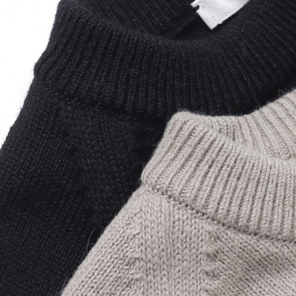 ALPACA WASHI CREWNECK SWEATER (KRAGNW0803) | ATON / トップス (MEN