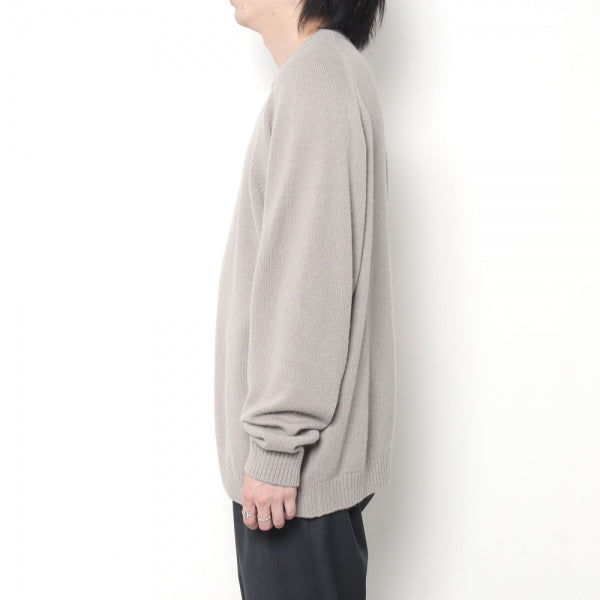 ALPACA WASHI CREWNECK SWEATER (KRAGNW0803) | ATON / トップス (MEN