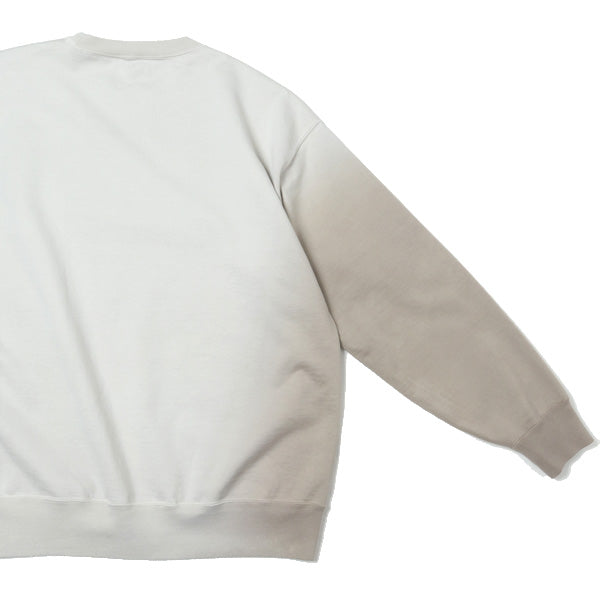 ORGANIC COTTON COMPACT GRADATION DYED SWEAT P/O (A21AP02OU