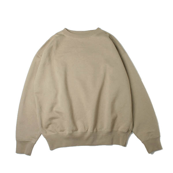 BACK WOOL SWEAT BIG P/O (A7AP01BW) | DIVERSE / カットソー (MEN