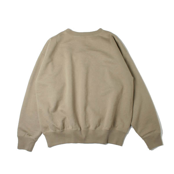 BACK WOOL SWEAT BIG P/O (A7AP01BW) | DIVERSE / カットソー (MEN