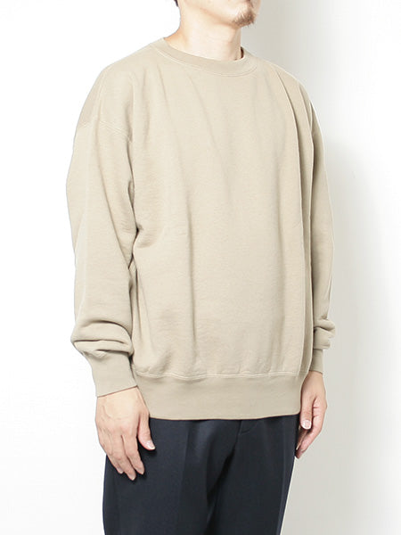 BACK WOOL SWEAT BIG P/O (A7AP01BW) | DIVERSE / カットソー (MEN