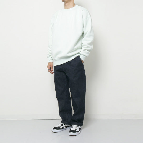 BAGGY POLYESTER SWEAT P/O (A9AP03PU) | AURALEE / カットソー (MEN