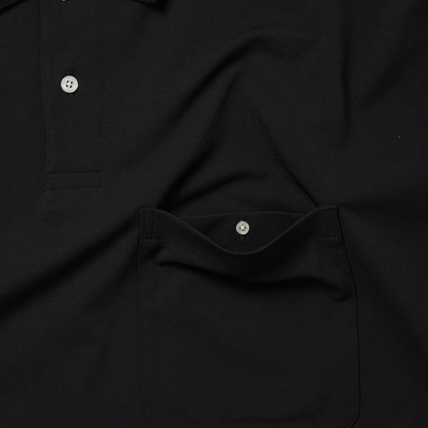 DAIWA PIER39 (ダイワピア39) TECH POLO SHIRTS L/S BE-31023 (BE